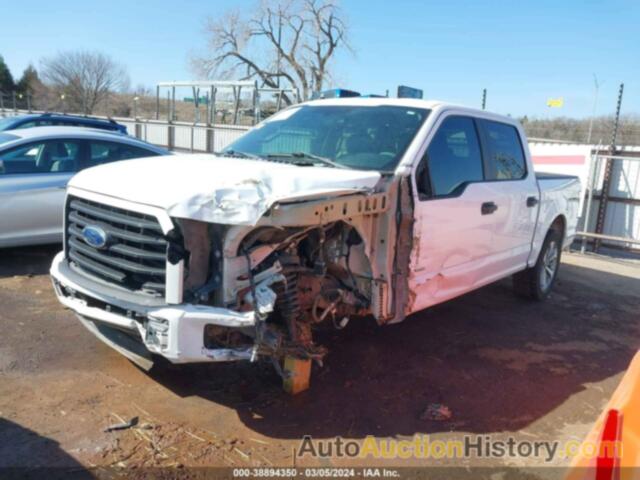 FORD F-150 XL, 1FTEW1CPXHKD53252