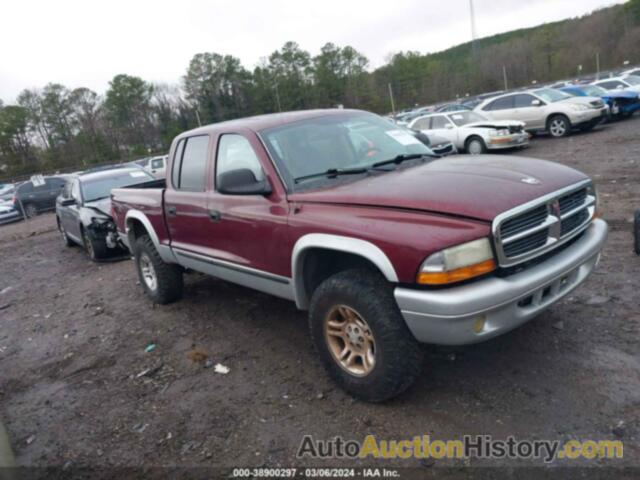 DODGE DAKOTA SLT, 1D7HL48N13S258267