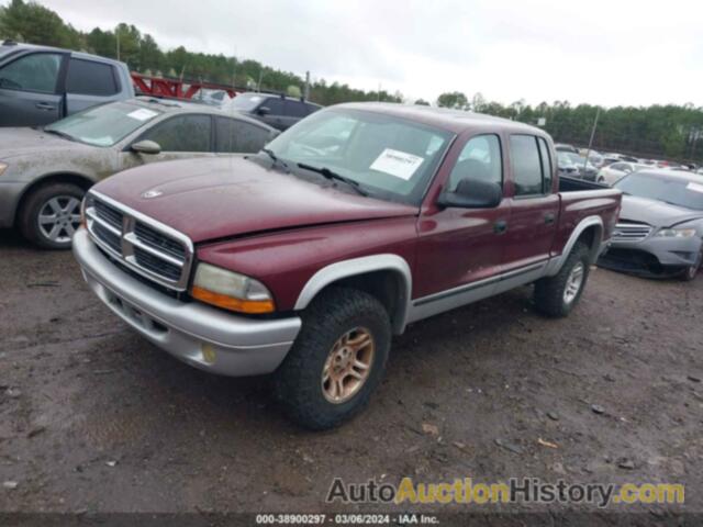 DODGE DAKOTA SLT, 1D7HL48N13S258267