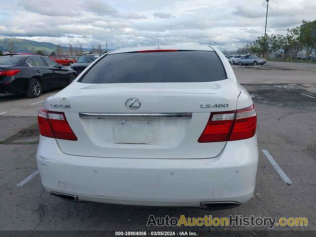 LEXUS LS 460, JTHBL46F085060456