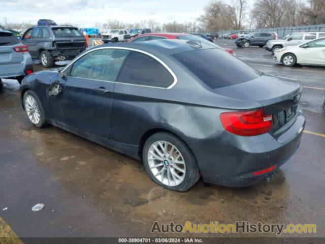 BMW 228 I SULEV, WBA1F9C50GV544300