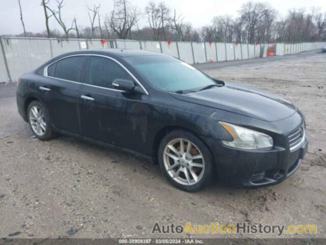 NISSAN MAXIMA 3.5 SV, 1N4AA5AP5BC804036