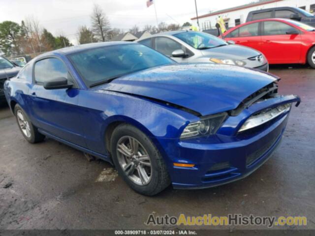 FORD MUSTANG, 1ZVBP8AM5E5241662