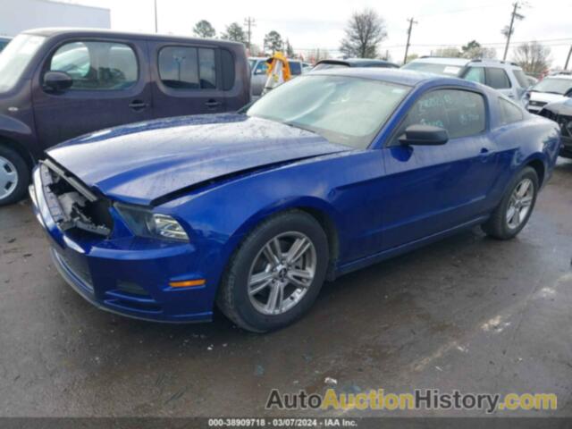 FORD MUSTANG, 1ZVBP8AM5E5241662