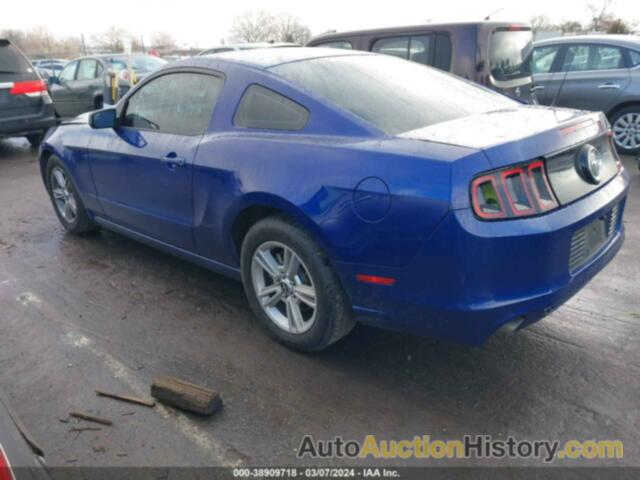 FORD MUSTANG, 1ZVBP8AM5E5241662