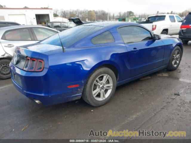 FORD MUSTANG, 1ZVBP8AM5E5241662