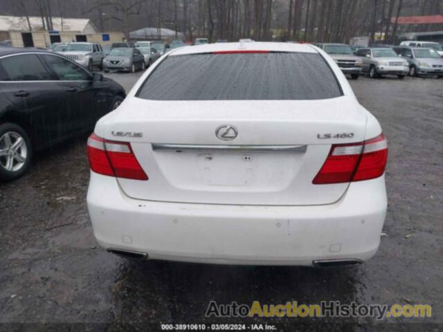 LEXUS LS 460, JTHBL46F295089846