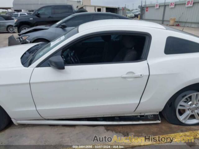 FORD MUSTANG V6, 1ZVBP8AM9D5228766