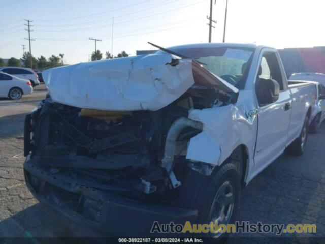 FORD F-150 XL, 1FTMF1CP7GKE25079