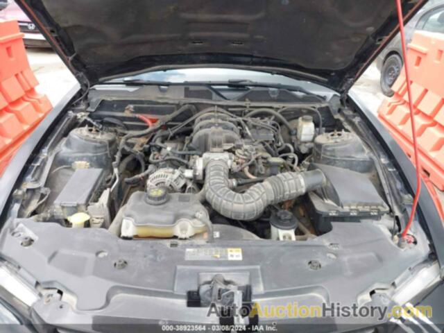 FORD MUSTANG V6/V6 PREMIUM, 1ZVBP8ANXA5128678