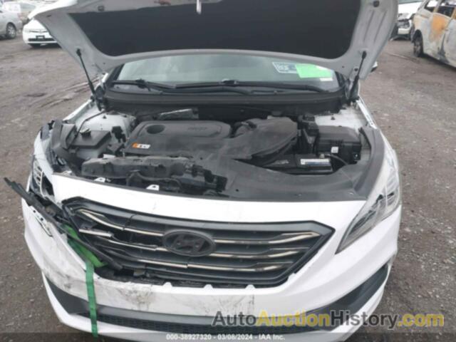 HYUNDAI SONATA SPORT, 5NPE34AF9HH538511