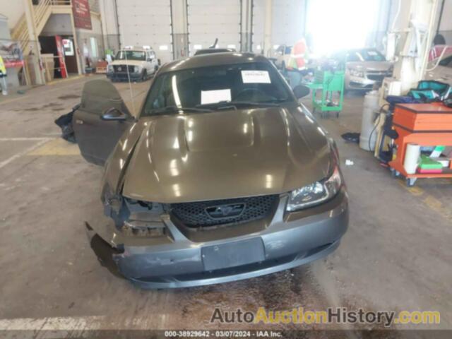 FORD MUSTANG, 1FAFP40614F135109