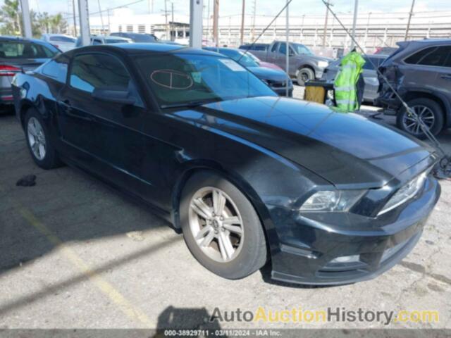 FORD MUSTANG, 1ZVBP8AM6D5255343
