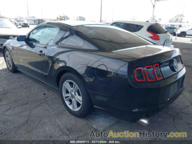 FORD MUSTANG, 1ZVBP8AM6D5255343