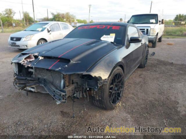 FORD MUSTANG GT, 1ZVBP8CF5D5231839