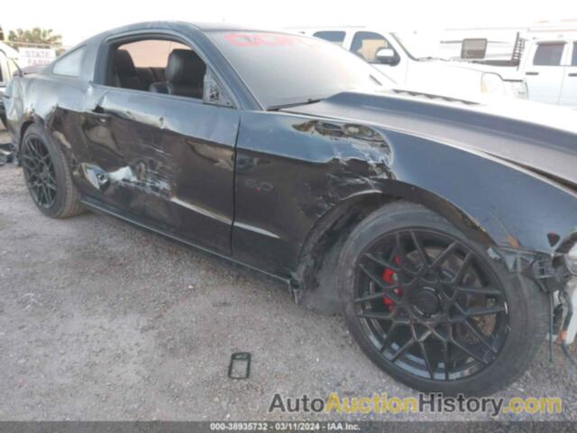 FORD MUSTANG GT, 1ZVBP8CF5D5231839