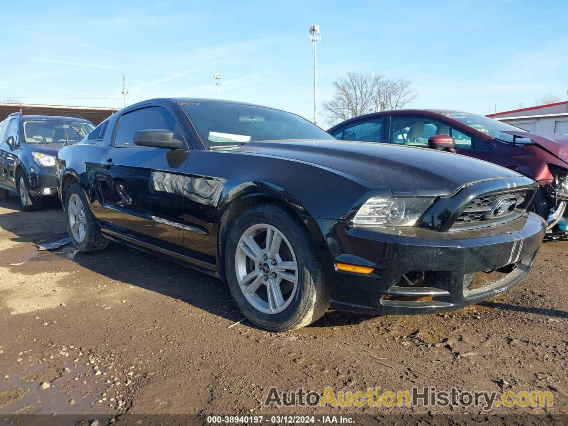 FORD MUSTANG, 1ZVBP8AM8E5283677