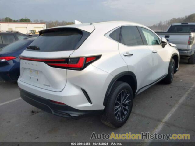 LEXUS NX 250 PREMIUM, 2T2GDCAZ3RC011381