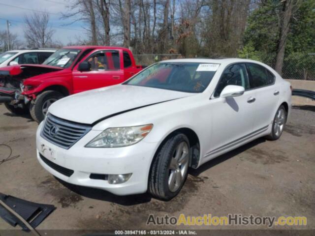 LEXUS LS 460, JTHBL5EFXA5095146