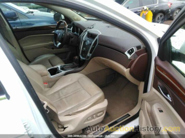 CADILLAC SRX LUXURY COLLECTION, 3GYFNAEY6BS646200