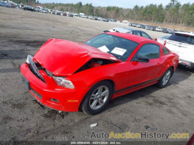 FORD MUSTANG, 1ZVBP8AM8D5260916