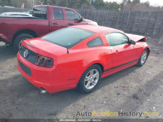 FORD MUSTANG, 1ZVBP8AM8D5260916
