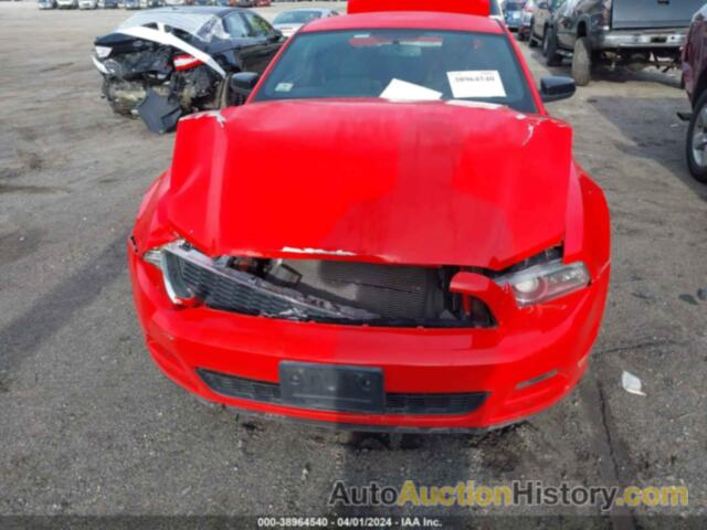 FORD MUSTANG, 1ZVBP8AM8D5260916