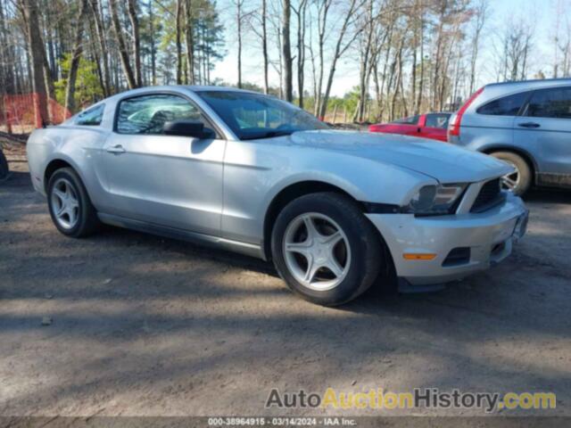 FORD MUSTANG V6/V6 PREMIUM, 1ZVBP8AN5A5165184