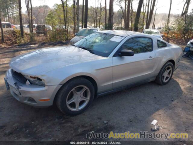 FORD MUSTANG V6/V6 PREMIUM, 1ZVBP8AN5A5165184