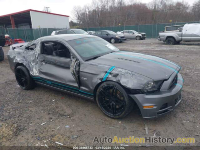 FORD MUSTANG GT PREMIUM, 1ZVBP8CF8E5301044