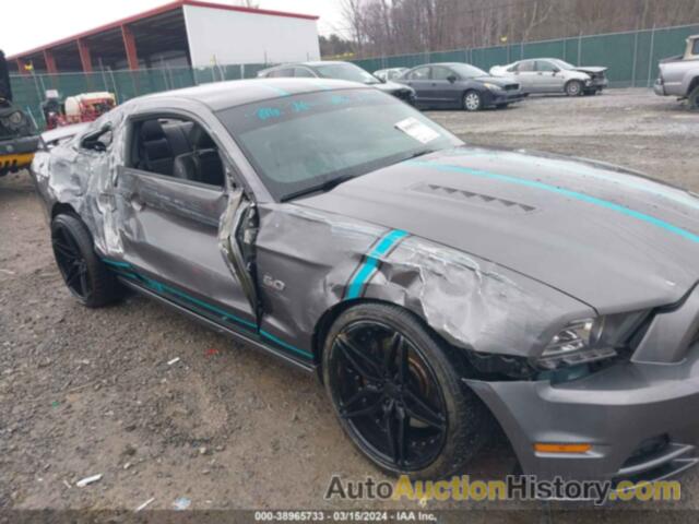 FORD MUSTANG GT PREMIUM, 1ZVBP8CF8E5301044