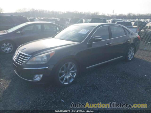 HYUNDAI EQUUS SIGNATURE, KMHGH4JHXDU059747