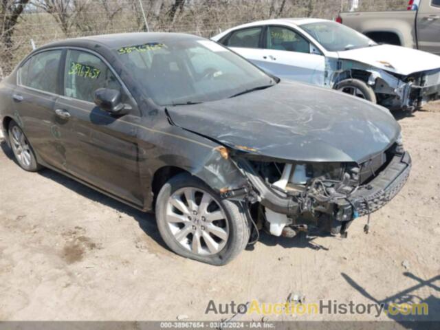 HONDA ACCORD EX-L, 1HGCR2F87EA297508