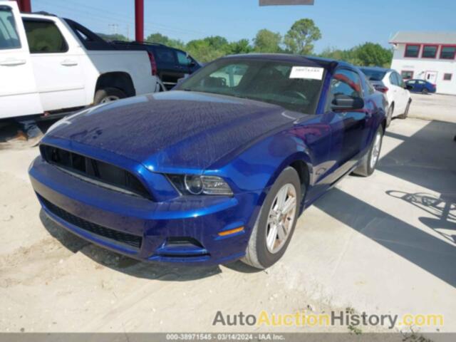 FORD MUSTANG V6, 1ZVBP8AM4D5256281