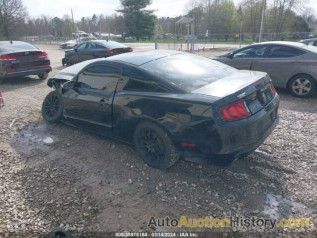 FORD MUSTANG V6, 1ZVBP8AM8E5315107