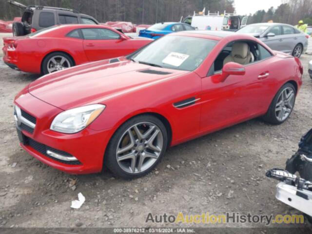 MERCEDES-BENZ SLK 250, WDDPK4HA6EF087054