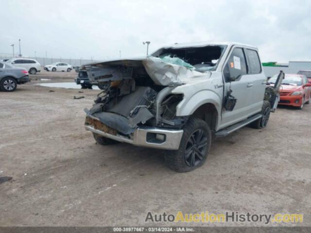 FORD F-150 XLT, 1FTEW1CG1FKD34442