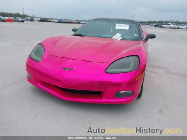 CHEVROLET CORVETTE, 1G1YY26W795100513