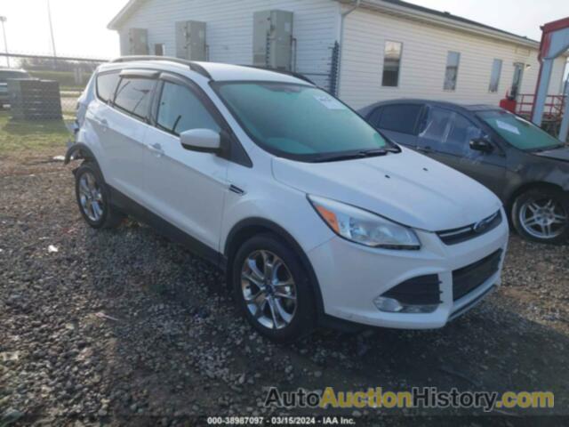 FORD ESCAPE SE, 1FMCU0GX7EUA43668