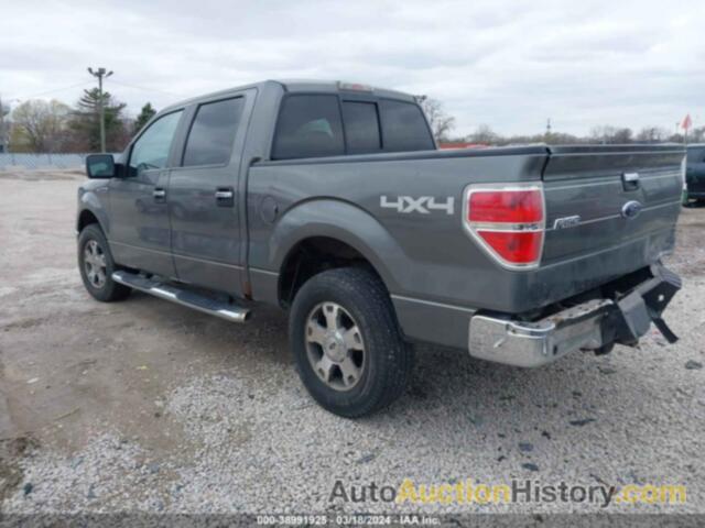 FORD F-150 XL/XLT, 1FTRW14829FB25376