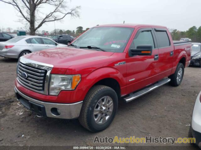 FORD F-150 XLT, 1FTFW1ET1BFB67744