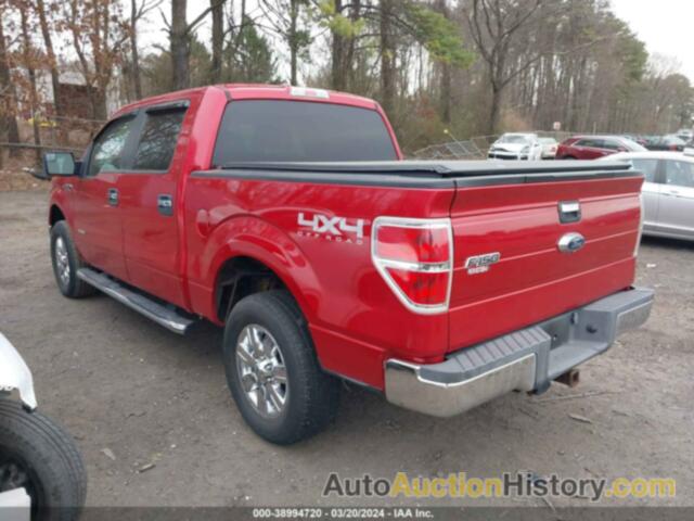 FORD F-150 XLT, 1FTFW1ET1BFB67744