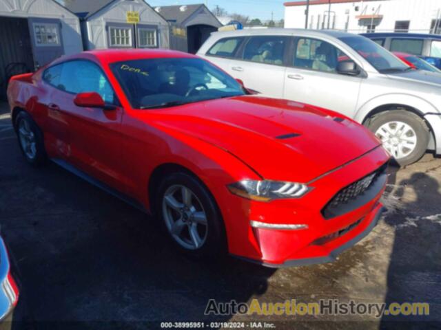 FORD MUSTANG, 1FA6P8TH5K5203144