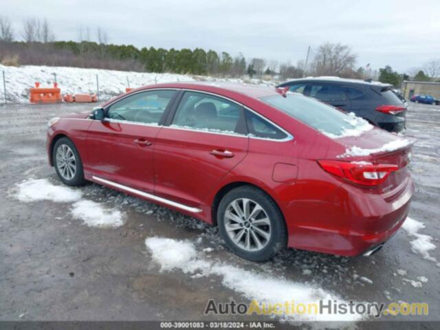 HYUNDAI SONATA SPORT, 5NPE34AF7FH052793