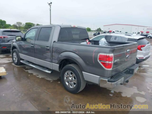 FORD F-150 FX2 SPORT/XL/XLT, 1FTEW1C82AFD03677