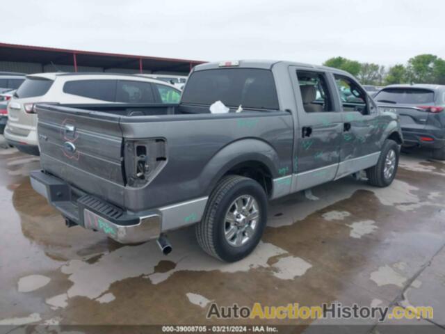 FORD F-150 FX2 SPORT/XL/XLT, 1FTEW1C82AFD03677