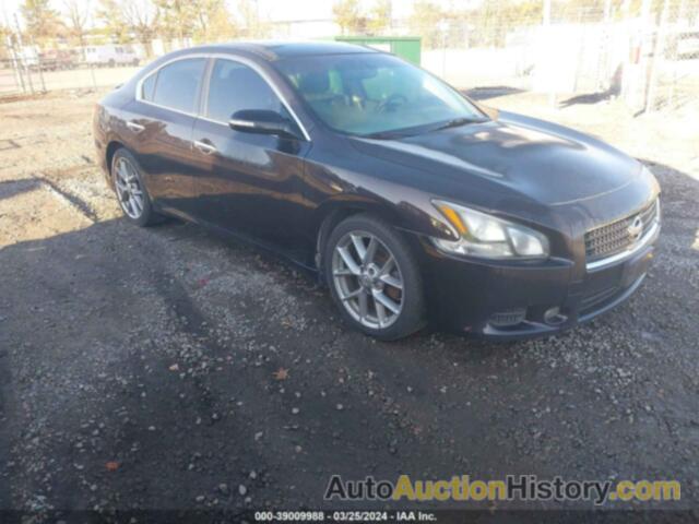 NISSAN MAXIMA S/SV, 1N4AA5AP7BC852458