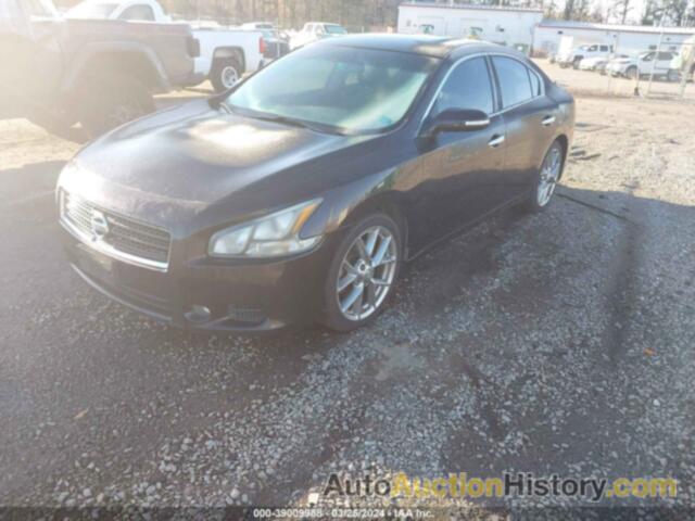 NISSAN MAXIMA 3.5 SV, 1N4AA5AP7BC852458