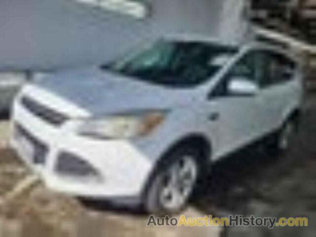 FORD ESCAPE SE, 1FMCU0GX5GUB01019