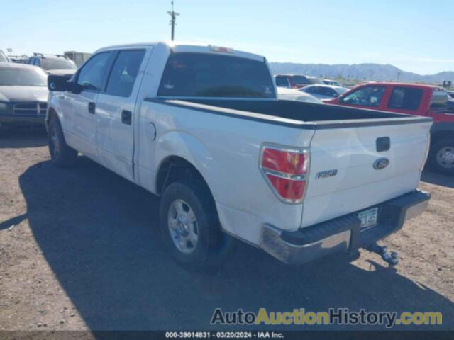 FORD F-150 XL/XLT, 1FTEW1E8XAFD67527